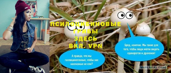 стаф Михайлов
